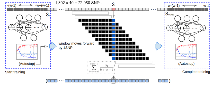 SWAT-CNN architecture for genomic variant detection